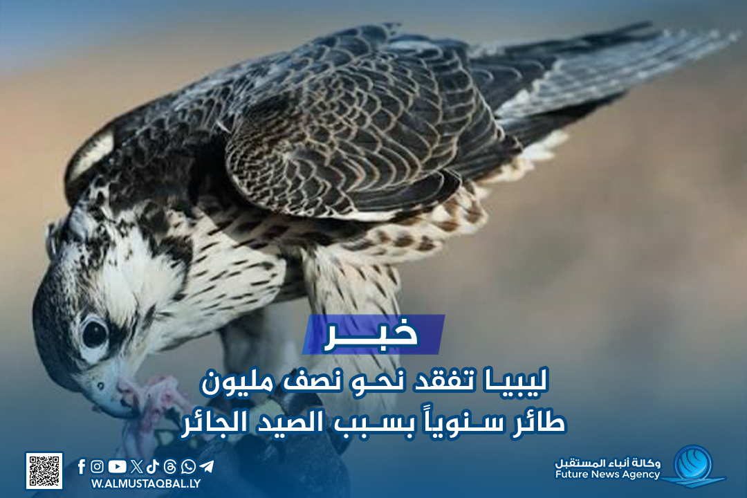 ليبيا تفقد نحو نصف مليون طائر سنويًّا بسبب الصيد الجائر