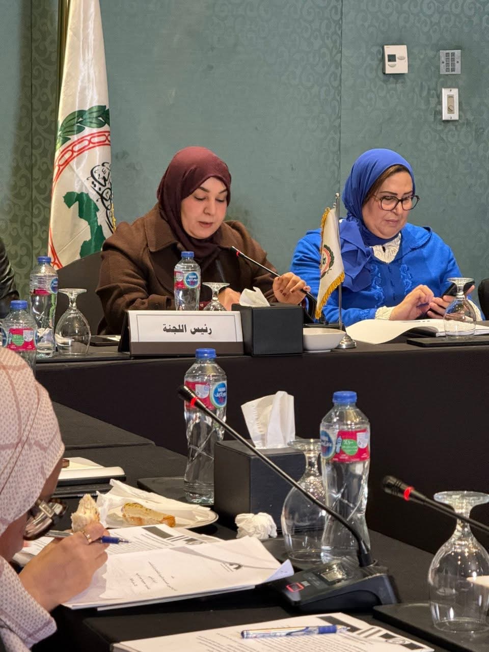 مشاركة أعضاء مجلس النواب في اجتماعات لجان البرلمان العربي بالقاهرة