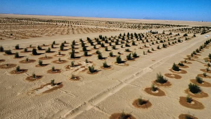 شركة الخليج تشرع في تنفيذ المرحلة الثانية من مبادرة "خضار ليبيا