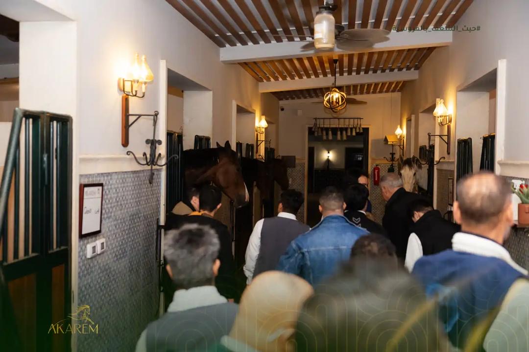 أصدقاء ذوي الهمم يزورون إسطبلات أكارم ضمن فعالية رمضانية