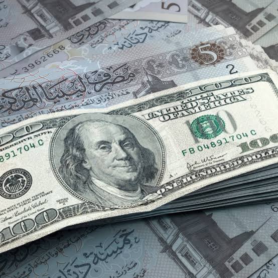 تراجع الدولار أمام الدينار الليبي في مستهل تعاملات السوق الموازية