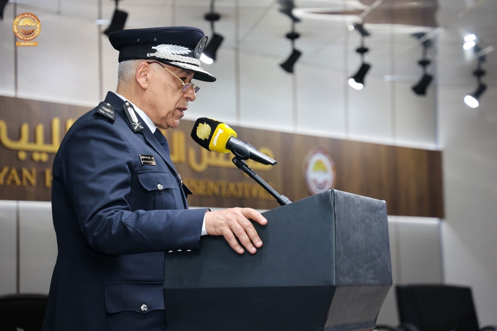 لجنة الصحة والبيئة بمجلس النواب تستعرض  في مؤتمر علمي نتائج المسح الوطني لنماء الأم والطفل والأسرة