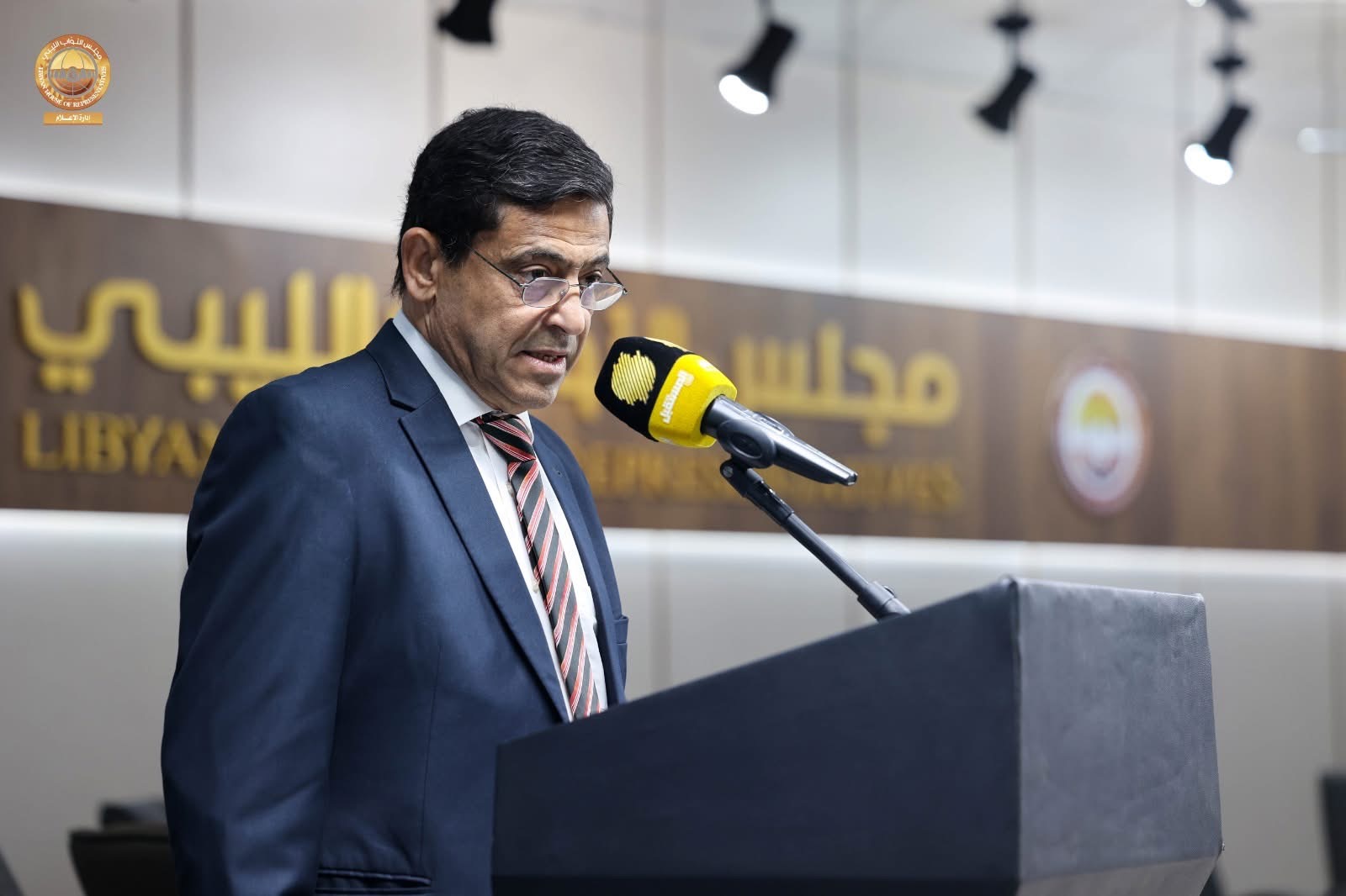 لجنة الصحة والبيئة بمجلس النواب تستعرض  في مؤتمر علمي نتائج المسح الوطني لنماء الأم والطفل والأسرة