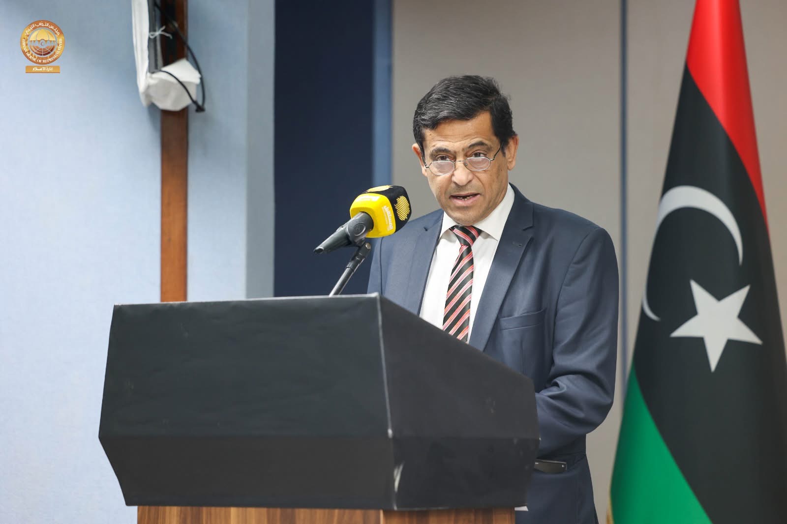 لجنة الصحة والبيئة بمجلس النواب تستعرض  في مؤتمر علمي نتائج المسح الوطني لنماء الأم والطفل والأسرة