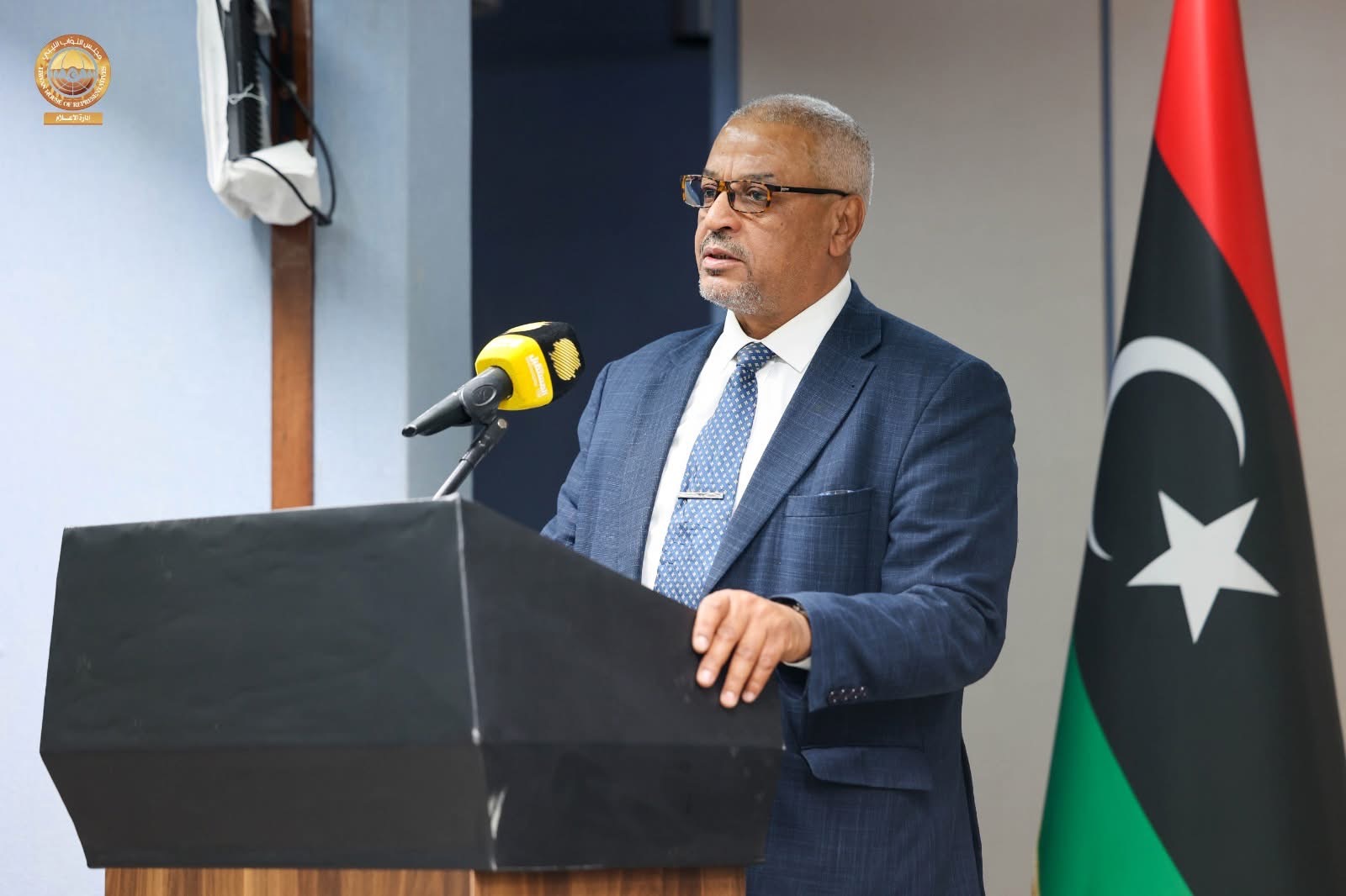 لجنة الصحة والبيئة بمجلس النواب تستعرض  في مؤتمر علمي نتائج المسح الوطني لنماء الأم والطفل والأسرة