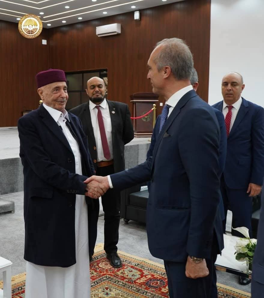 رئيس مجلس النواب يبحث مع وفد برلماني إيطالي مستجدات المشهد السياسي