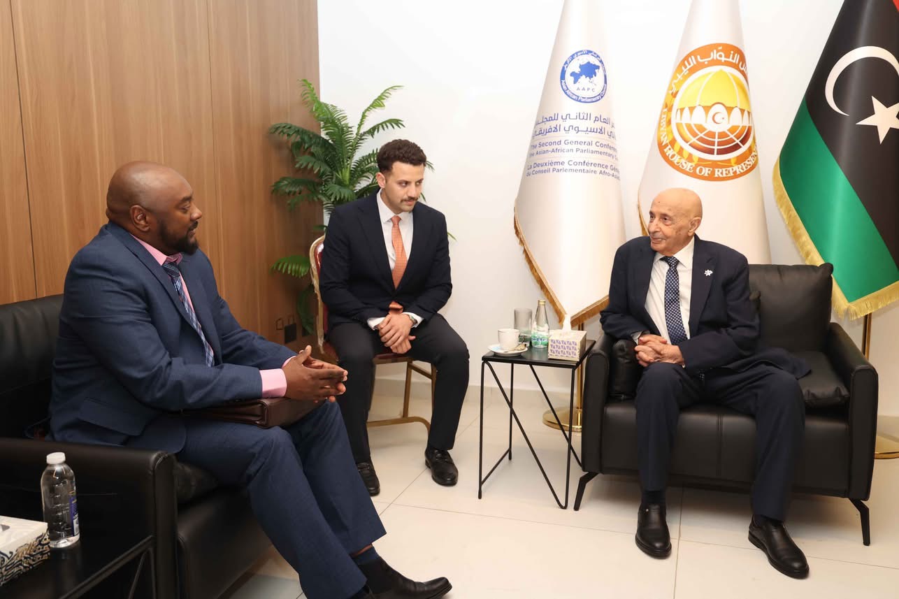 المستشار عقيله صالح يبحث مع مسؤول ببرلمان مدغشقر تعزيز التعاون بين البرلمانات الآسيوية والأفريقية