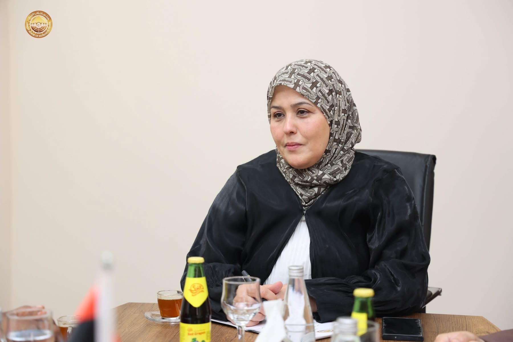 رئيس لجنة شؤون المرأة والطفل بمجلس النواب تلتقي نائب وزير العدل التشادي المكلف بحقوق الإنسان