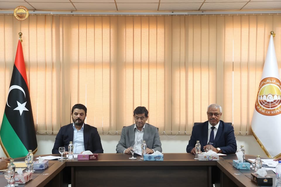 لجنة التأمين الصحي البرلمانية تبحث تعزيز التنسيق بين الصناديق بالمناطق الثلاث