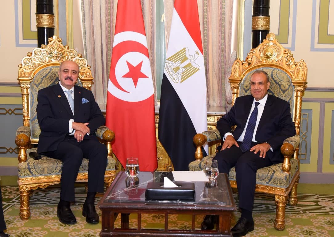 تأكيدات مصرية تونسية على وحدة ليبيا والدفع لانتخابات رئاسية وبرلمانية 