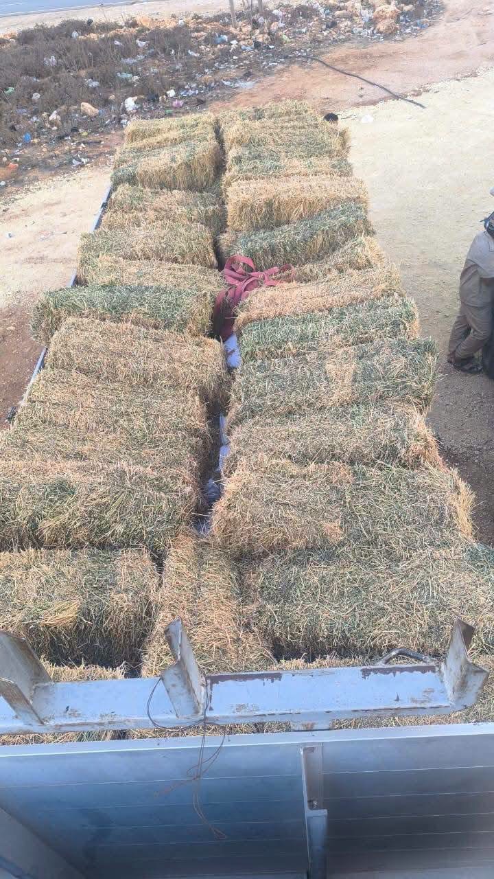 الدوريات الصحراوية تضبط مركبة محملة بقوارب مخصصة للهجرة غير النظامية
