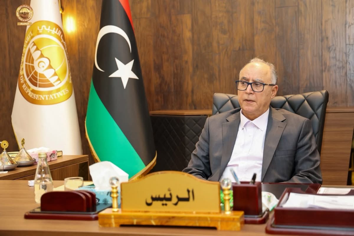 رئيس مجلس النواب يبحث مع وزير الخدمة المدنية ملف الوظيفة العامة وأوضاع الشركات الوطنية المتعثرة